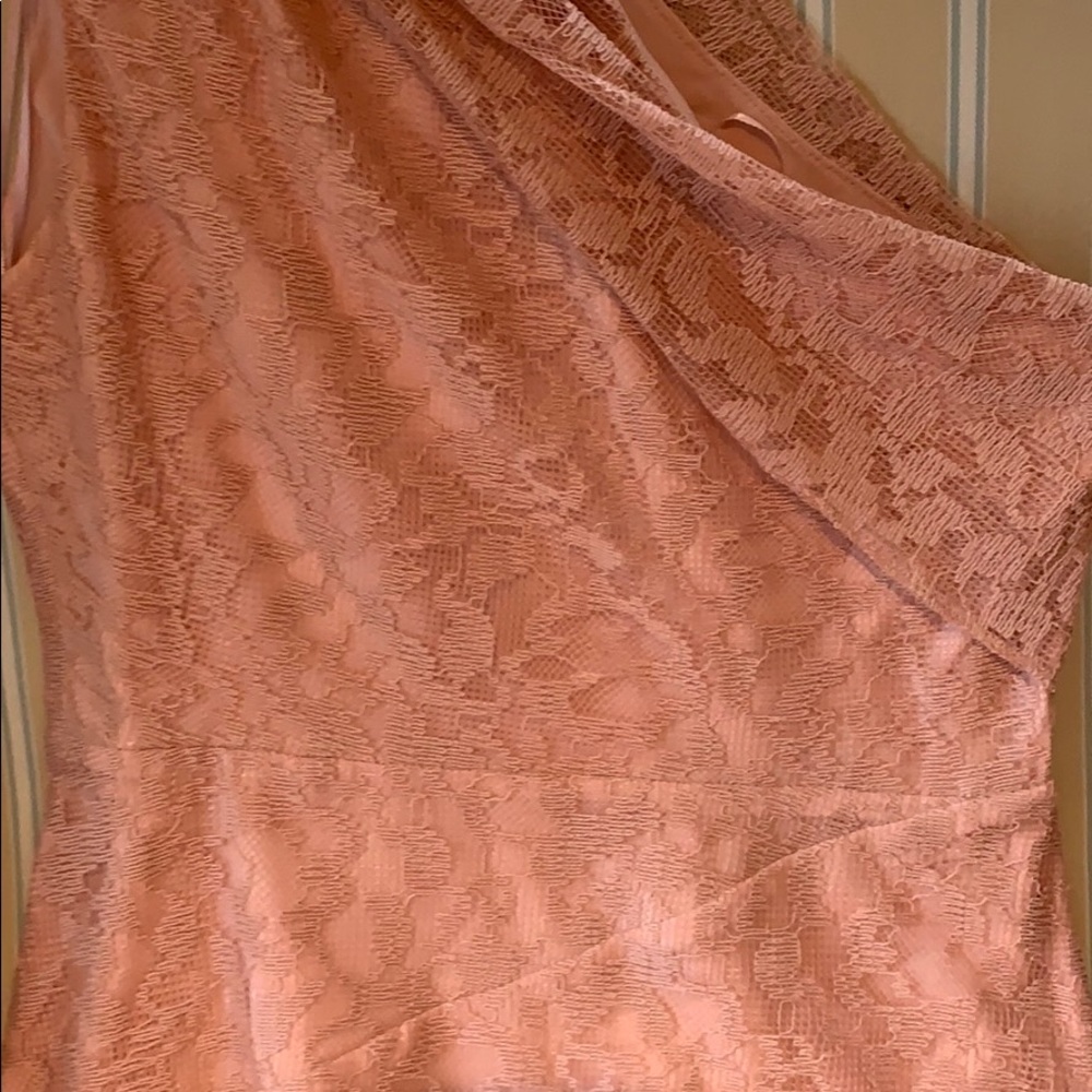 REISS ASYMMETRICAL LACE MIDI DRESS IN BLUSH SIZE 6 - Picture 16 of 16